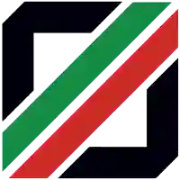 IricaLogo-logo